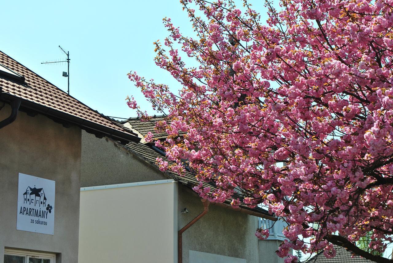 Apartmany Za Sakurou Hodonín Dış mekan fotoğraf